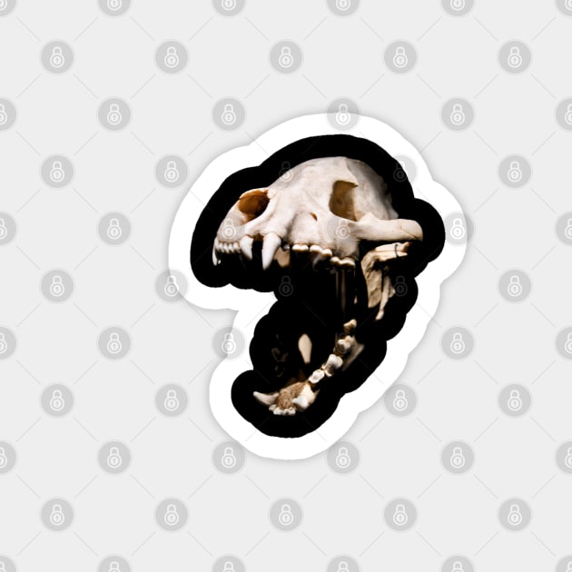 Dinosaur skull Sticker by Wolf Art / Swiss Artwork Photography